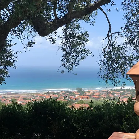 Apartment In Villa-il Giardino Dei Filosofi Ascea