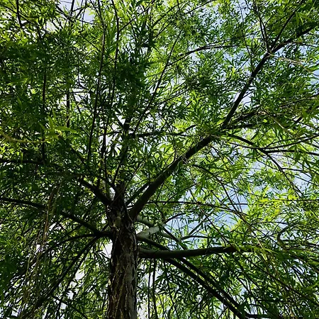 In Villa-il Giardino Dei Filosofi